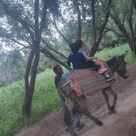 Gite Kasbah La Palmeraie Скура Экстерьер фото