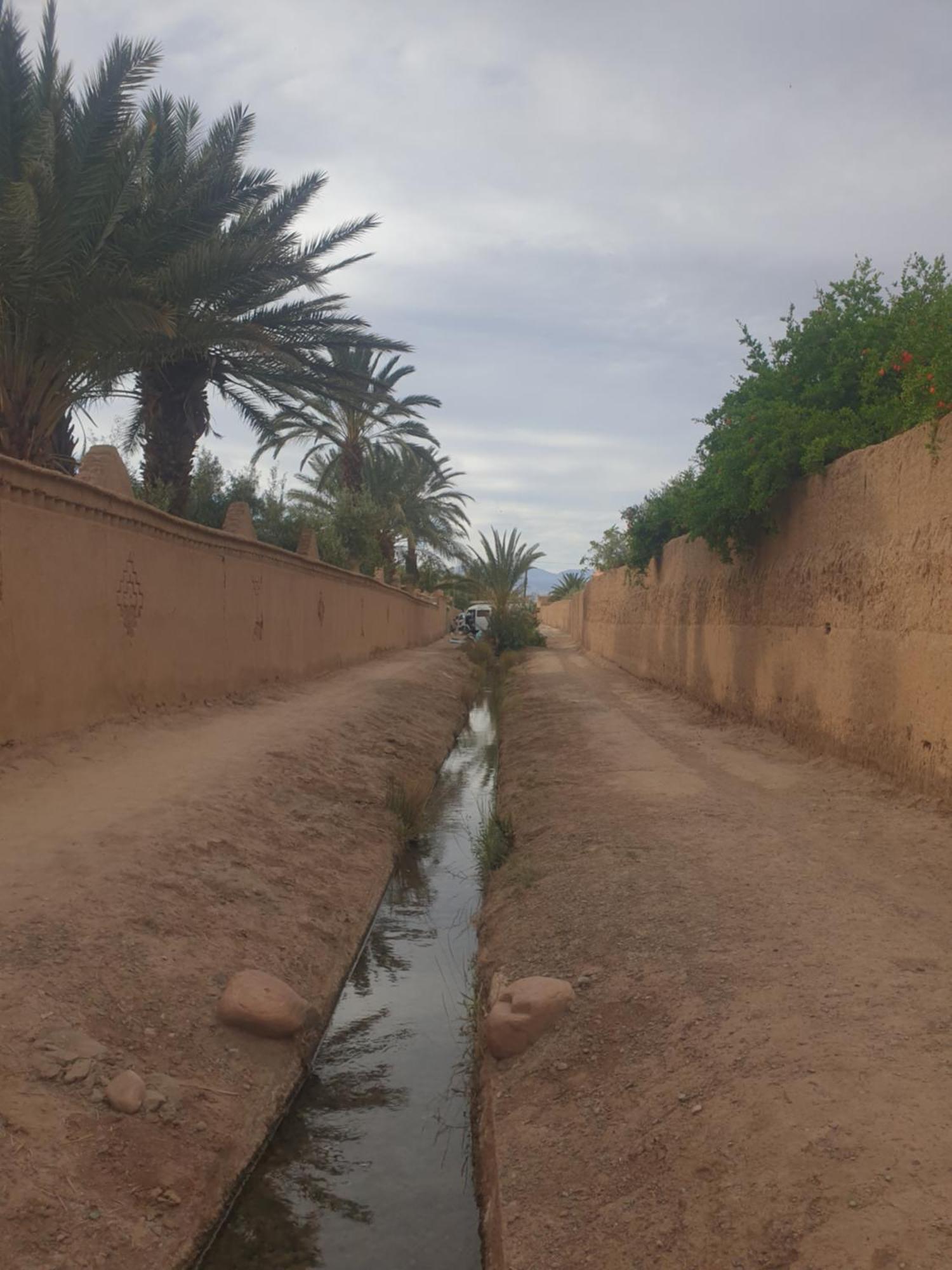 Gite Kasbah La Palmeraie Скура Экстерьер фото