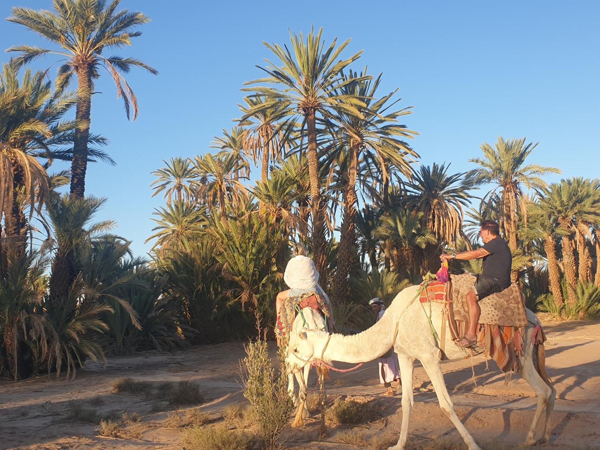 Gite Kasbah La Palmeraie Скура Экстерьер фото