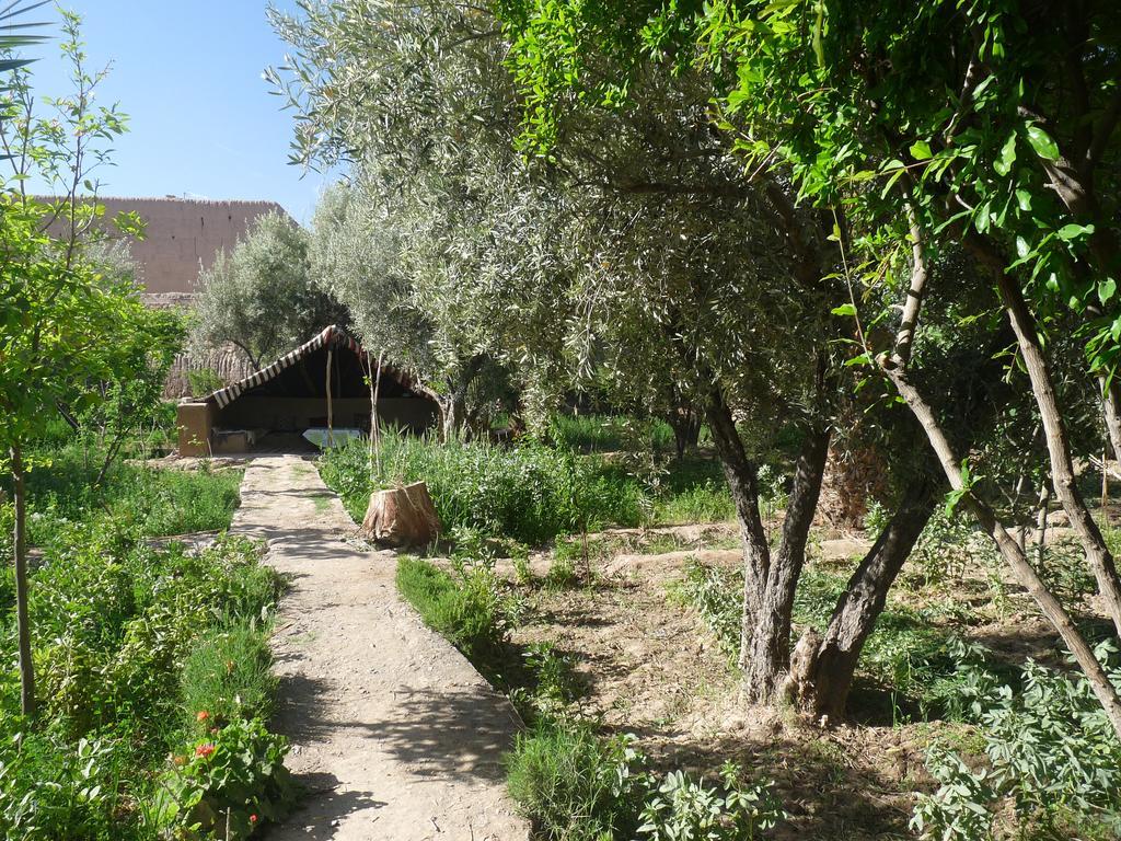 Gite Kasbah La Palmeraie Скура Экстерьер фото